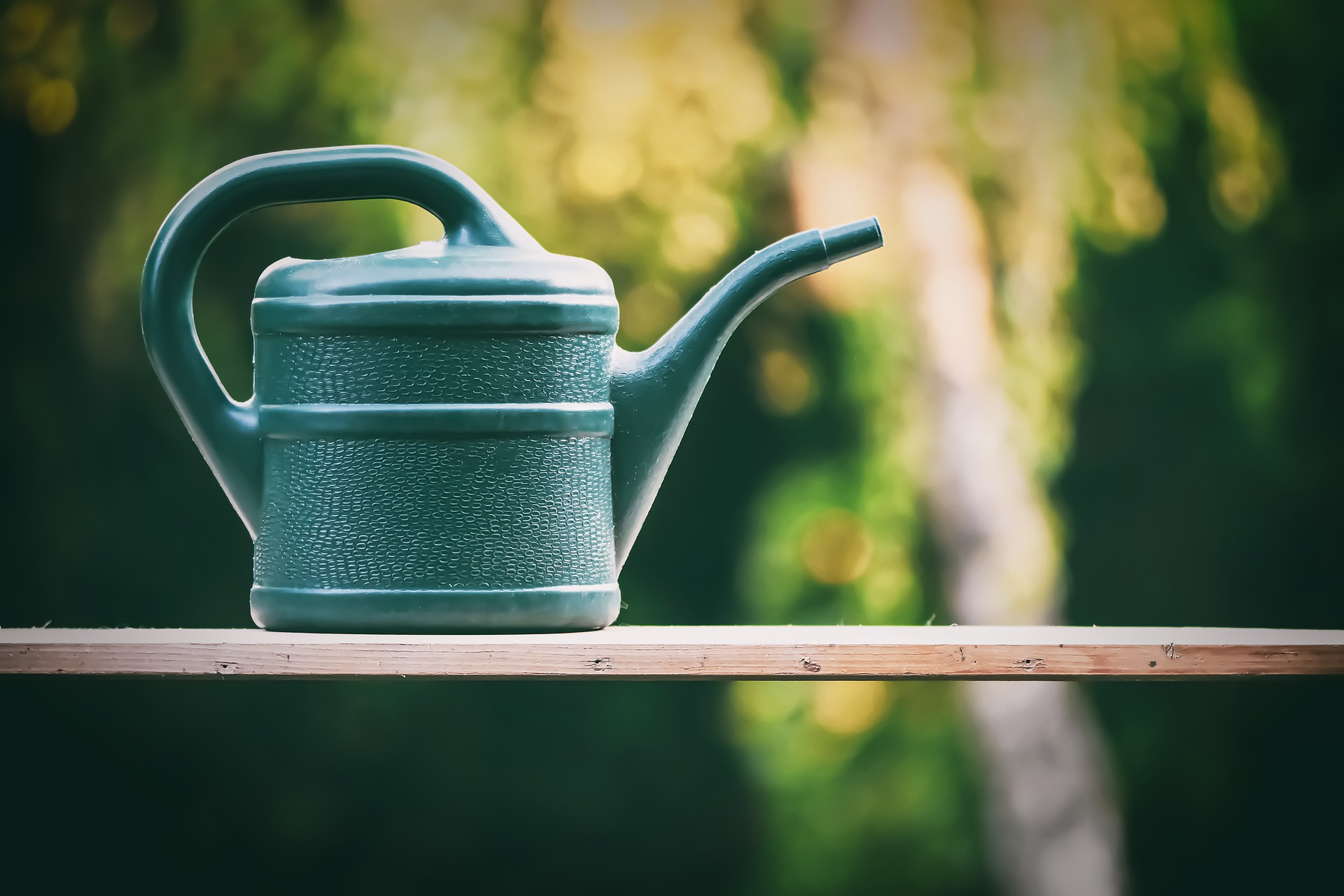 watering-can-5202988_1920